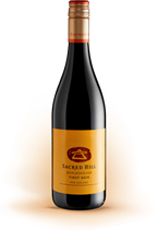 Sacred Hill Orange Lablel Pinot Noir Marlborough 2014